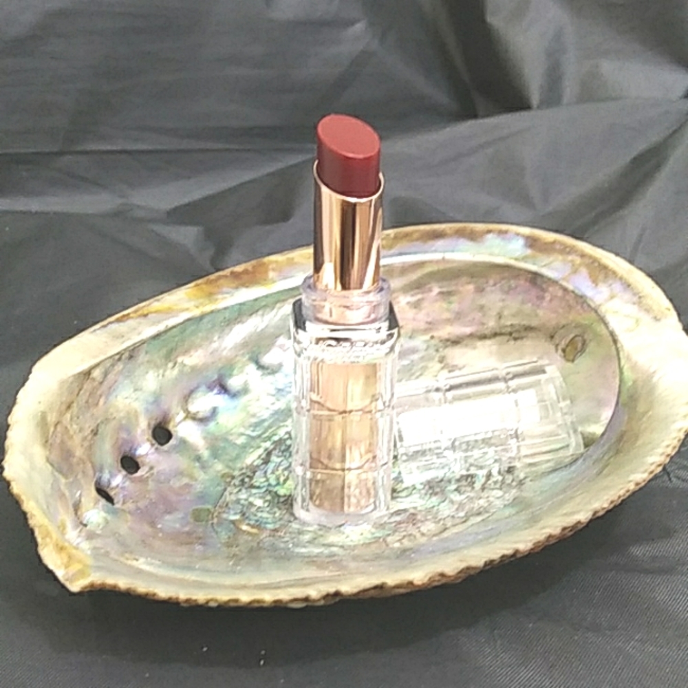 L'Oreal Colour Riche Plumping Lipstick Shade 108 Name Wild Fig Plump